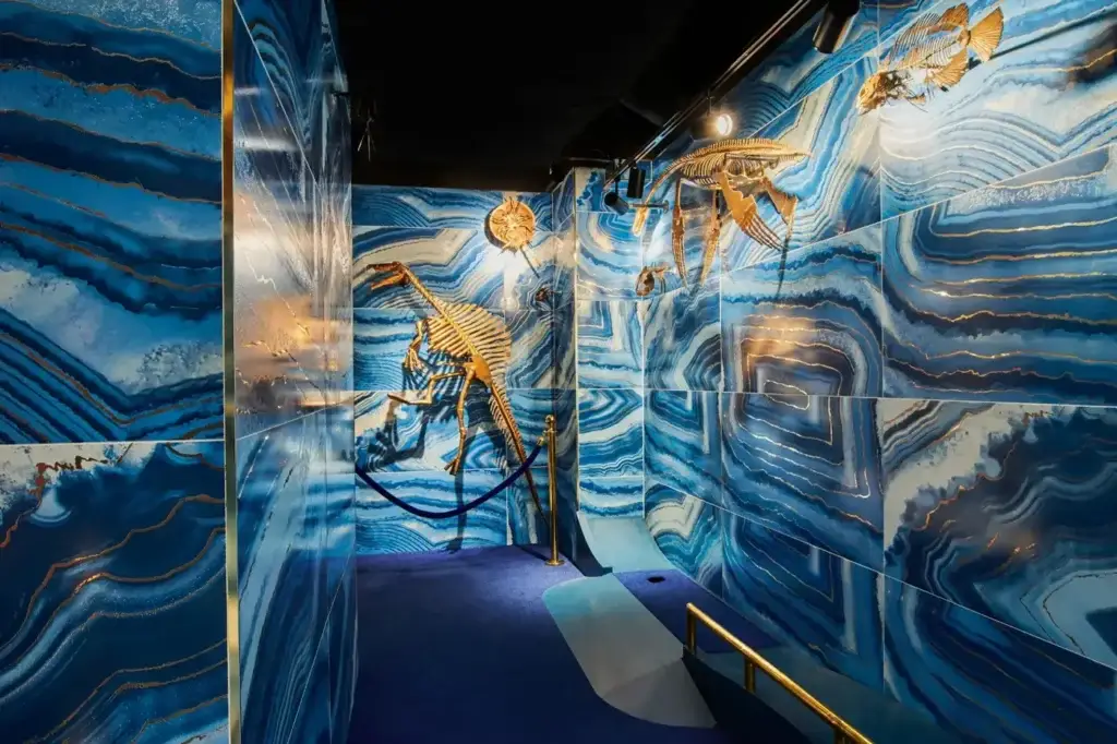 Fossil displays against vivid blue stone-patterned walls on the History Museum Course at Puttery New York City.