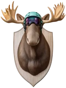 Mounted moose head from the Lodge course